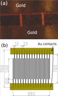 ion-microbeam1