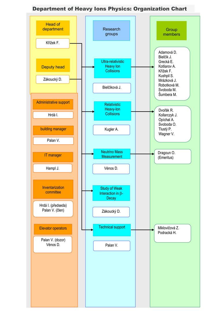 DHIP organizational chart 2024